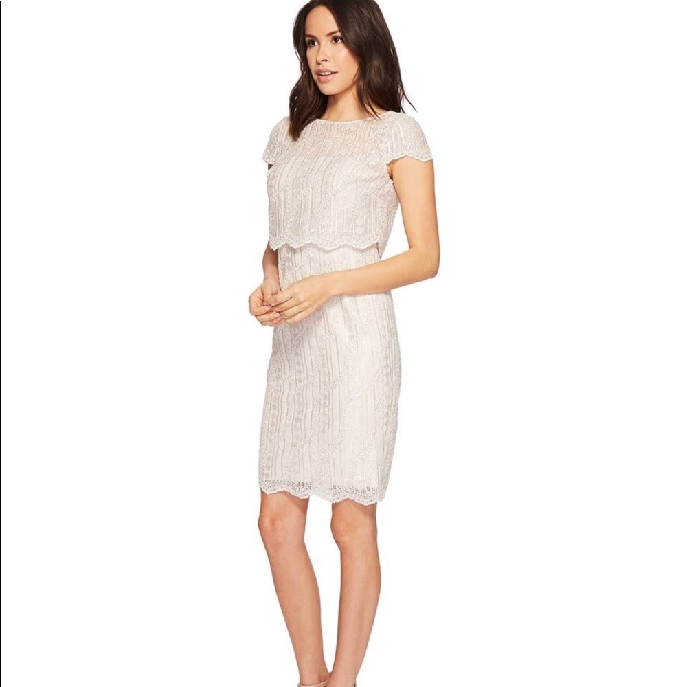 Adrianna papell popover embroidered lace dress